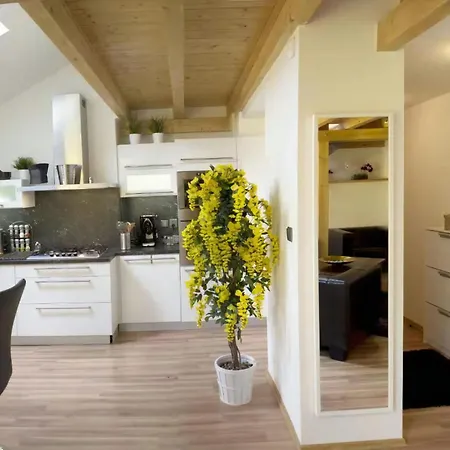 Apartment Light And Spacious Holiday